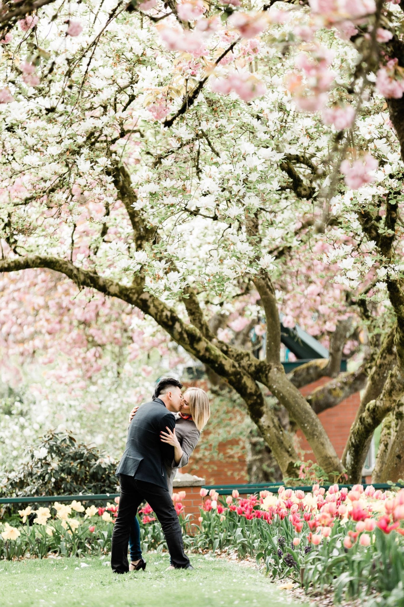 engaged couple kissing under the blossoming tree in the park for photo session