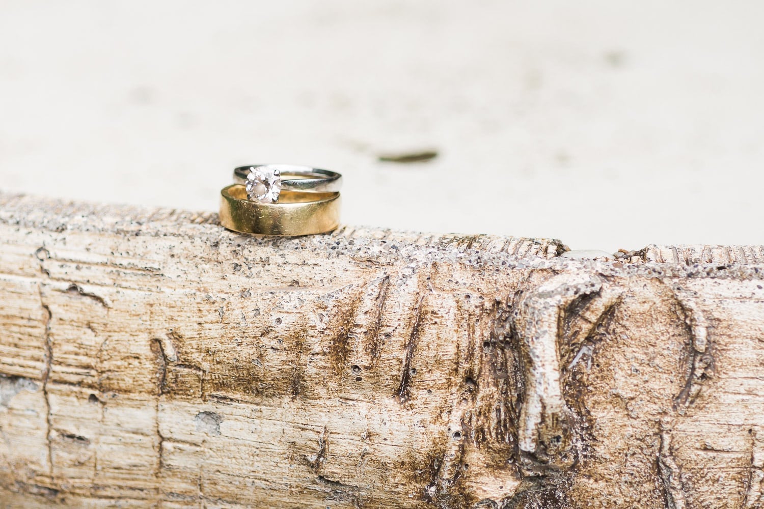 wedding rings picture | Vancouver Indian wedding photographer