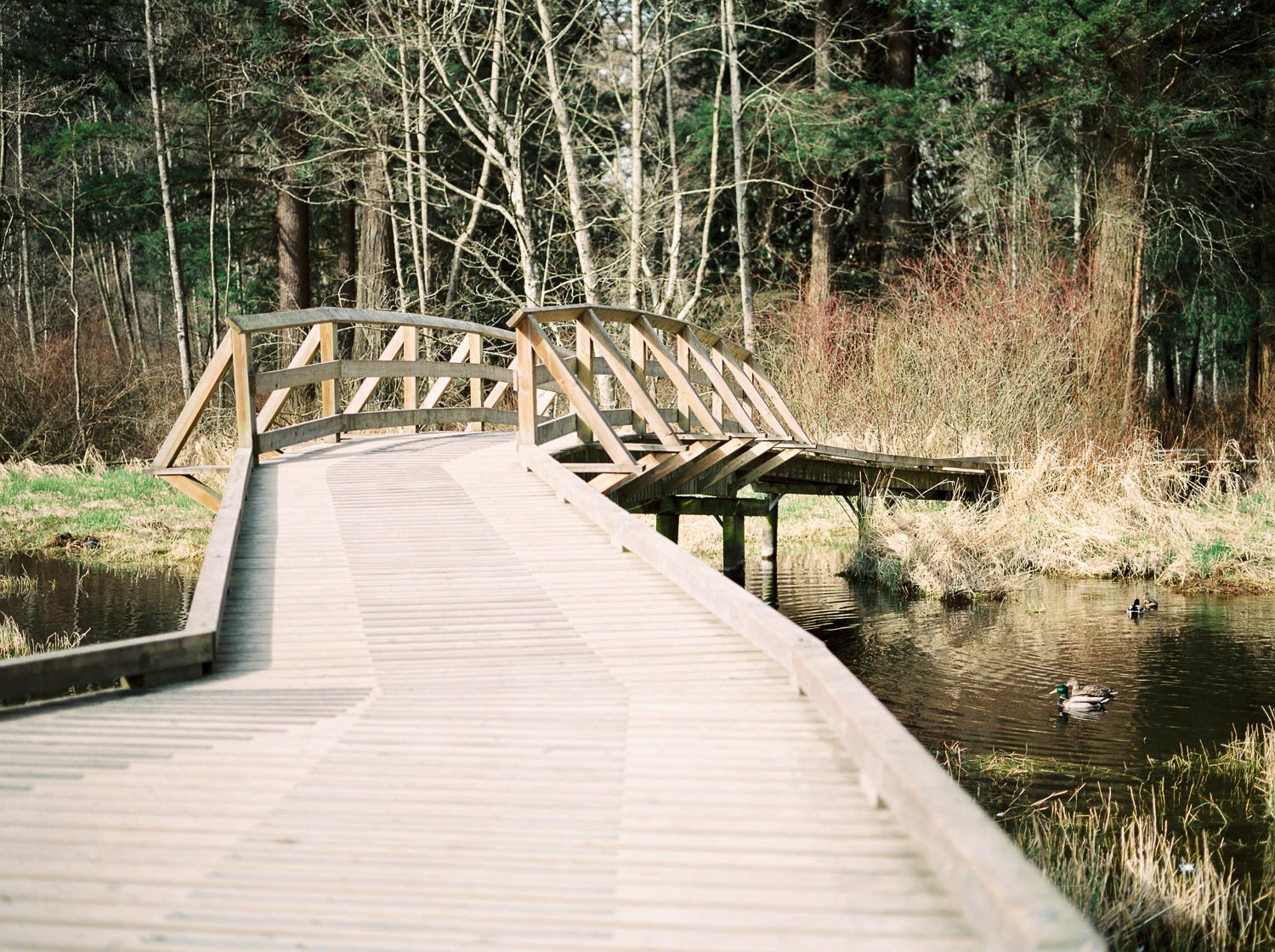 Classic wooden bridge