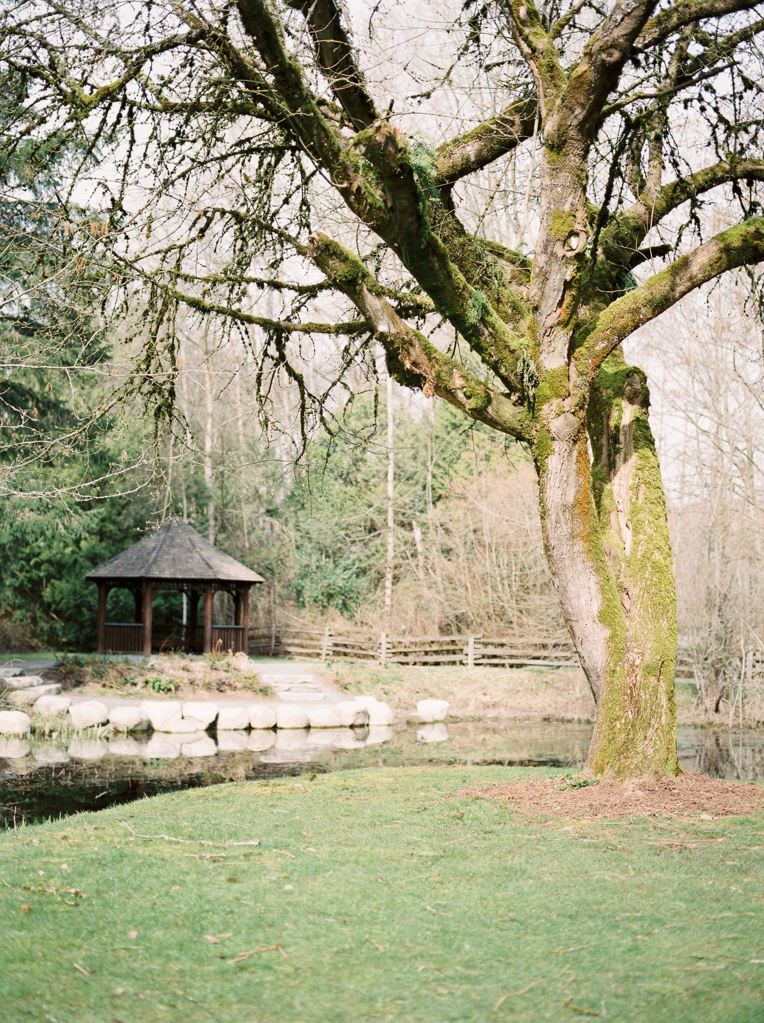Gazebo and pond at Campbell Valley Park