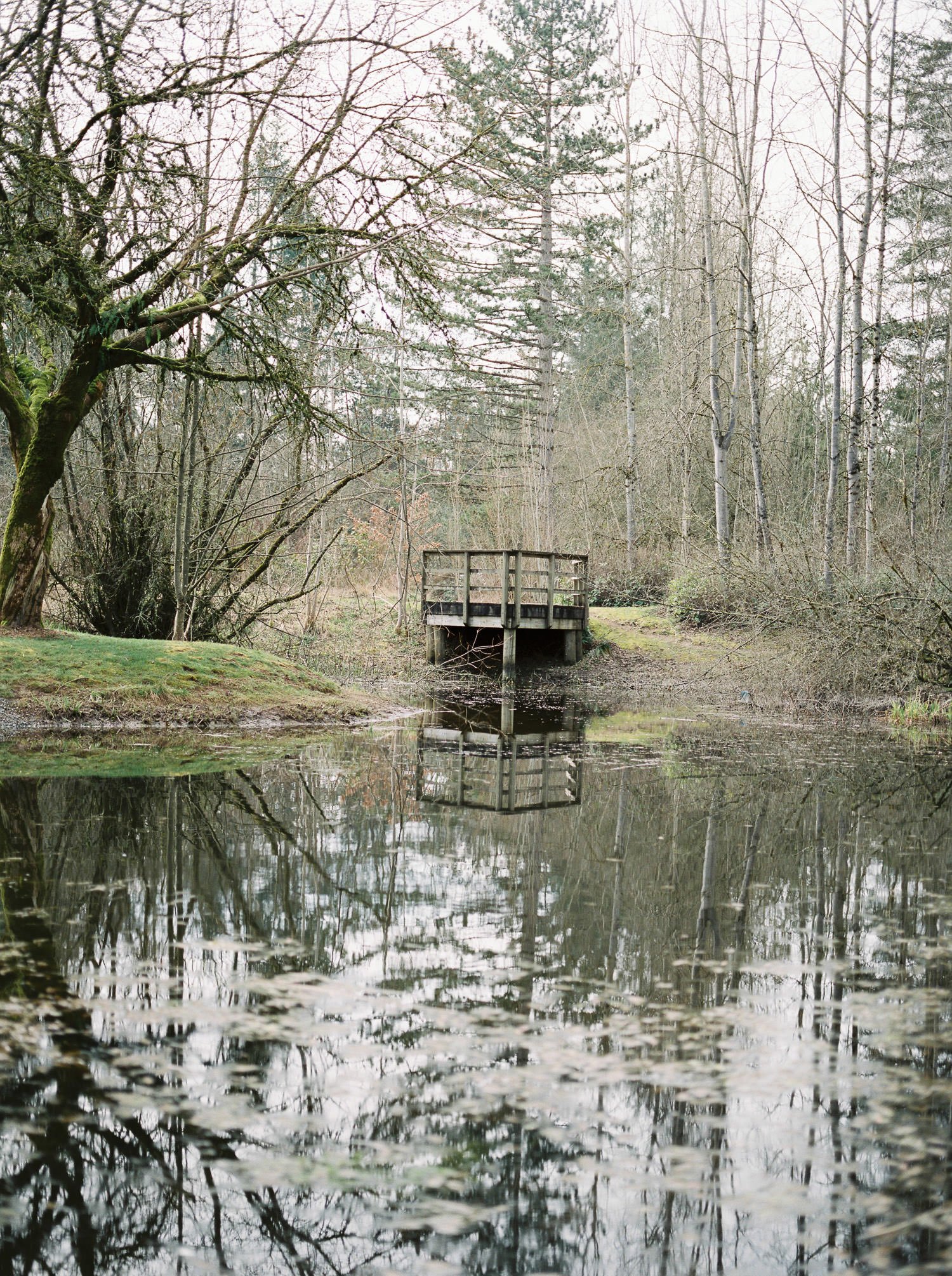 Pond at Campbell Valley Park